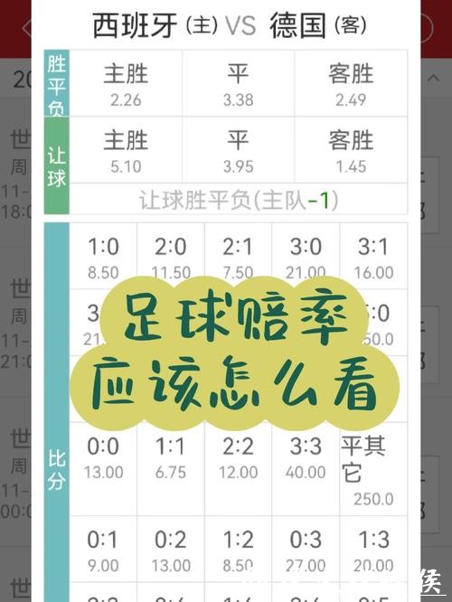 世界杯投注赔率计算基础知识